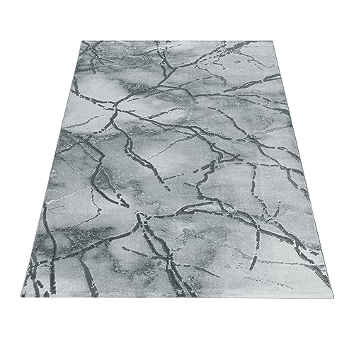 NAXOS3815SILVER_019