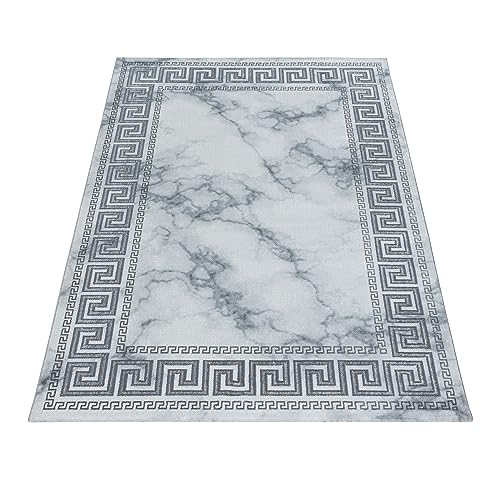 NAXOS3818SILVER_021