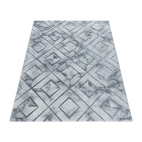 NAXOS3811SILVER_021