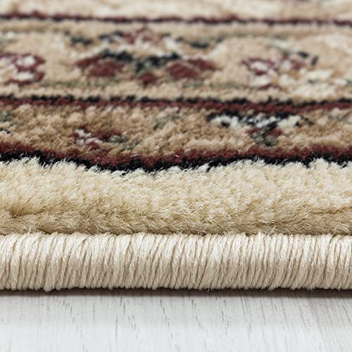 Stilvoll Günstig by ELMM Orient Teppich Wohnzimmer modern oder klassisch Orientalisches Design aus Polypropylen
